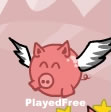 Pigs Can Fly